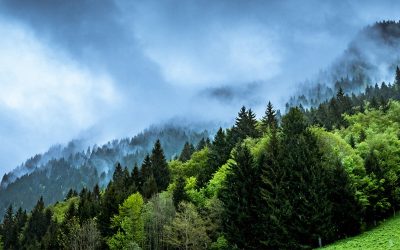 Part 3: Breathing