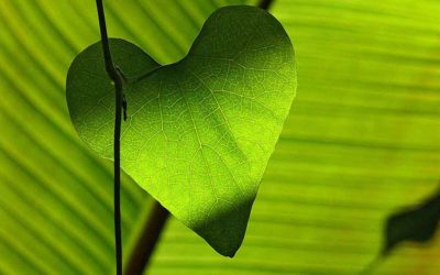 Two key health issues (Part 1)