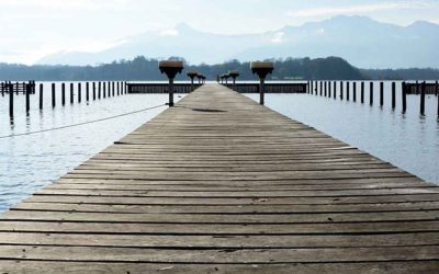 The crisis as a springboard (Part 3)